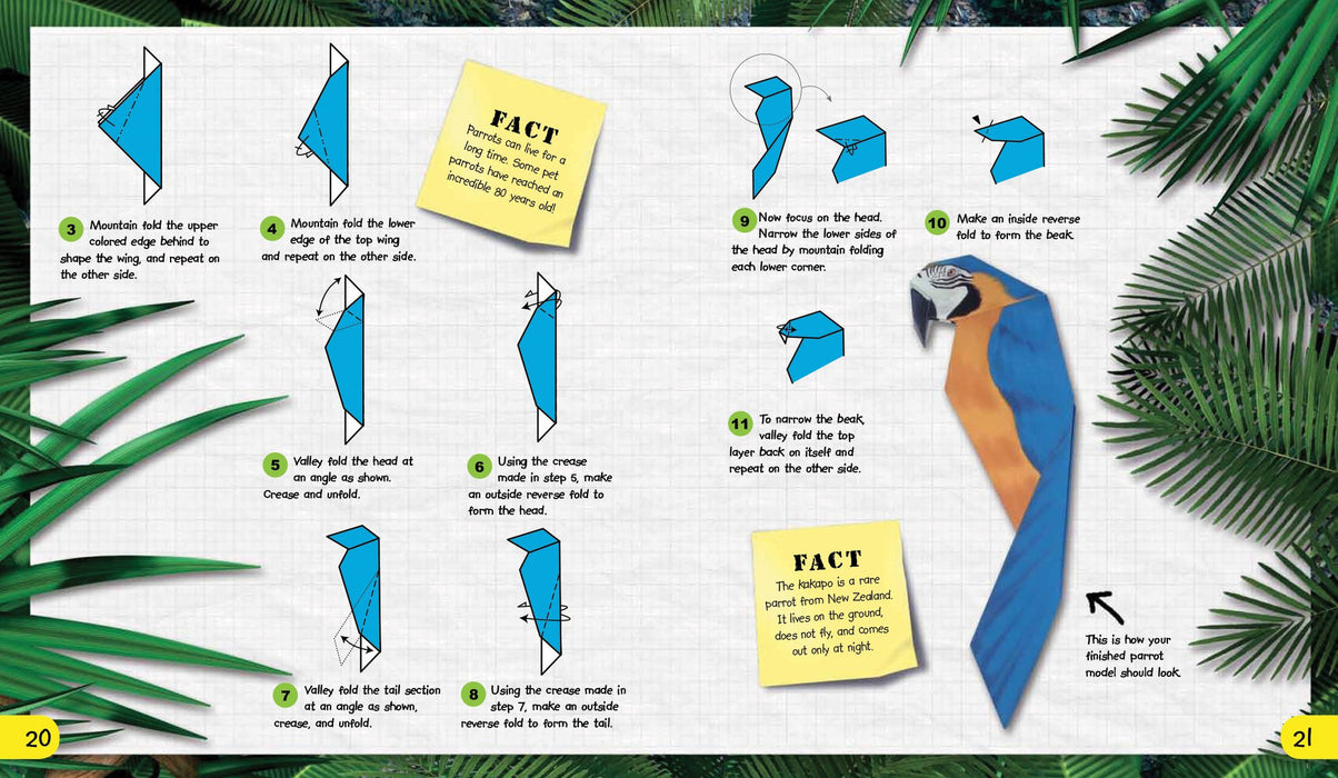 Origami Adventures: Animals