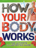 How Your Body Works - The Ultimate Illustrated Guide