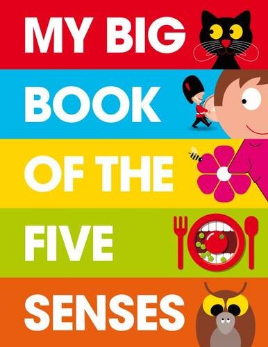 My Big Book Of The Five Senses
