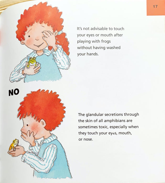 Lets Take Care Of Our New Frog