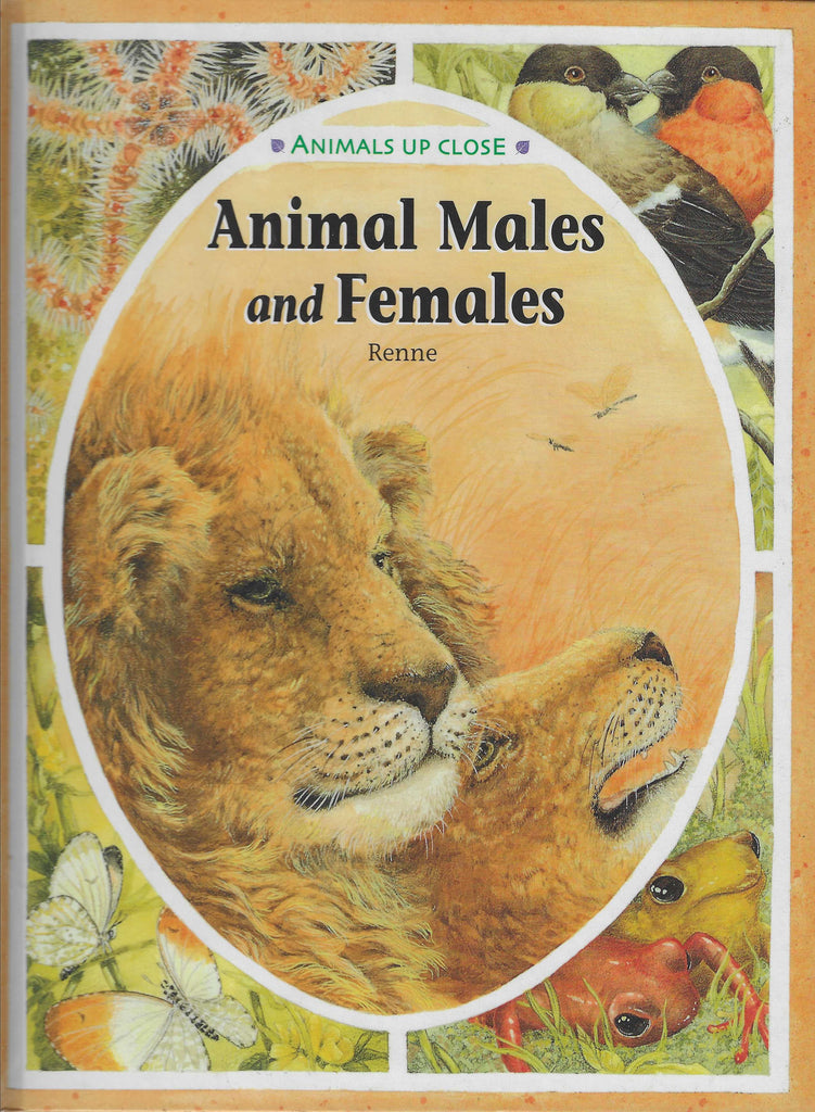 Animals Up Close: Animals Males And Females