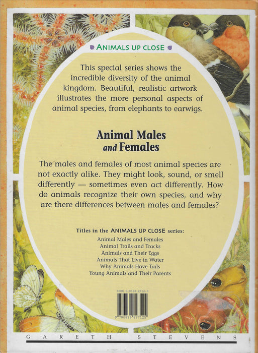 Animals Up Close: Animals Males And Females