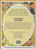 Animals Up Close: Animals Males And Females
